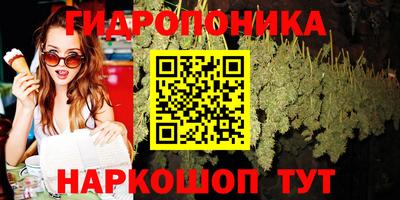 молекула духа Гусиноозёрск