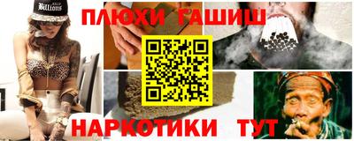 твердый Гусев