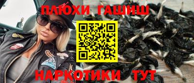 твердый Гусев