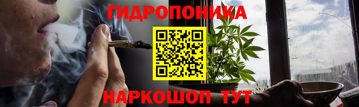 Бошки марихуана конопля Камышин